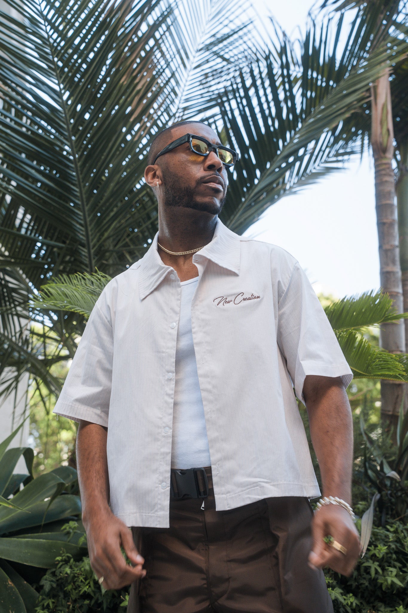 Mauve Stripe / Brown Button Up