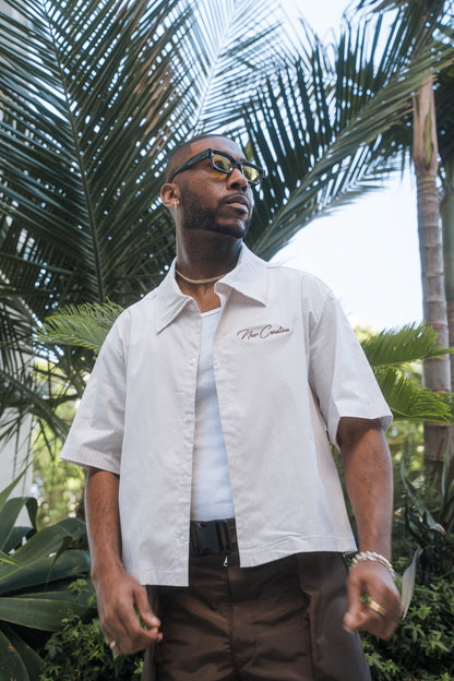 Mauve Stripe / Brown Button Up