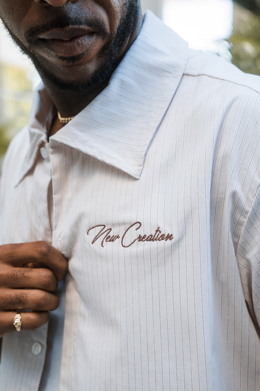 Mauve Stripe / Brown Button Up