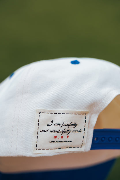 Suede 2 Tone- Natural/Blue SB Hat